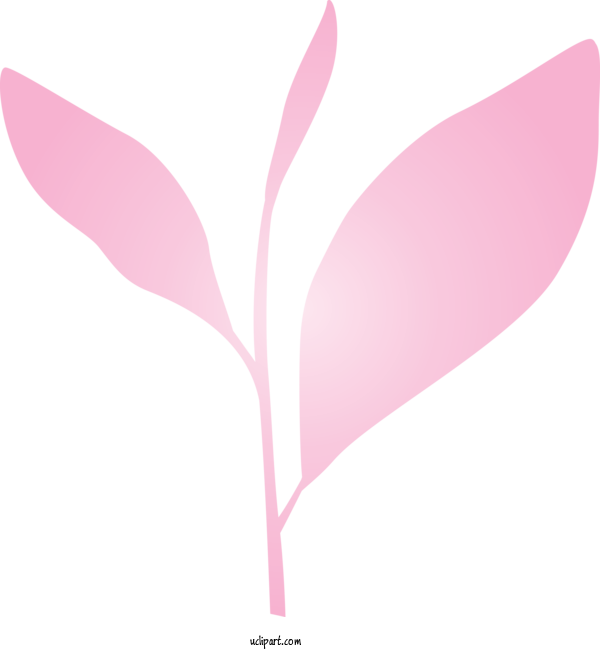 Free Nature Pink Leaf Plant For Leaf Clipart Transparent Background