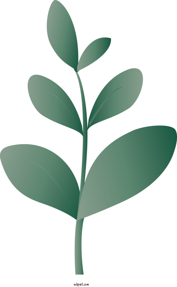 Free Nature Leaf Plant Green For Leaf Clipart Transparent Background