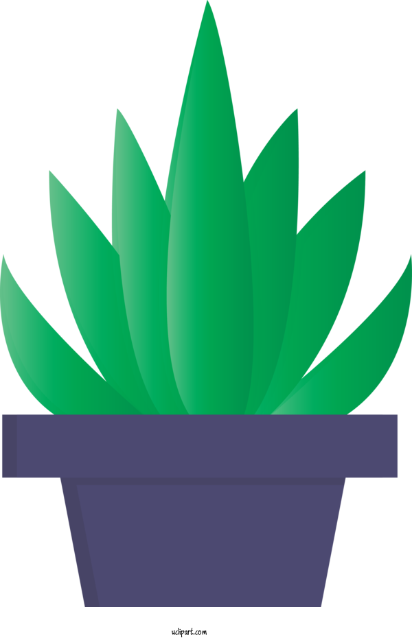 Free Nature Green Leaf Plant For Leaf Clipart Transparent Background