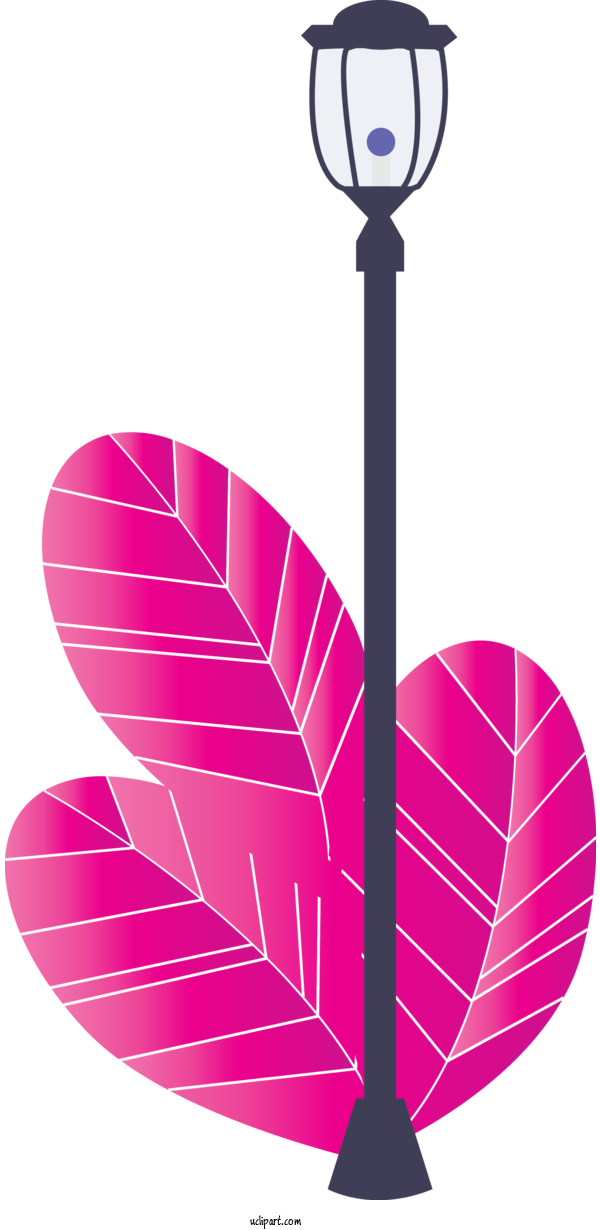 Free Nature Pink Leaf Magenta For Tree Clipart Transparent Background