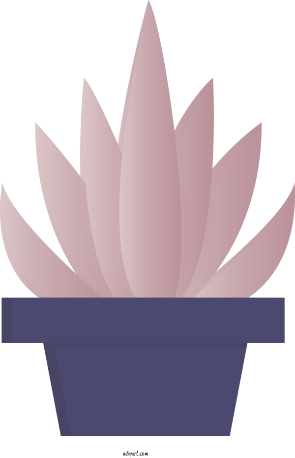 Free Nature Lotus Family Pink Petal For Leaf Clipart Transparent Background
