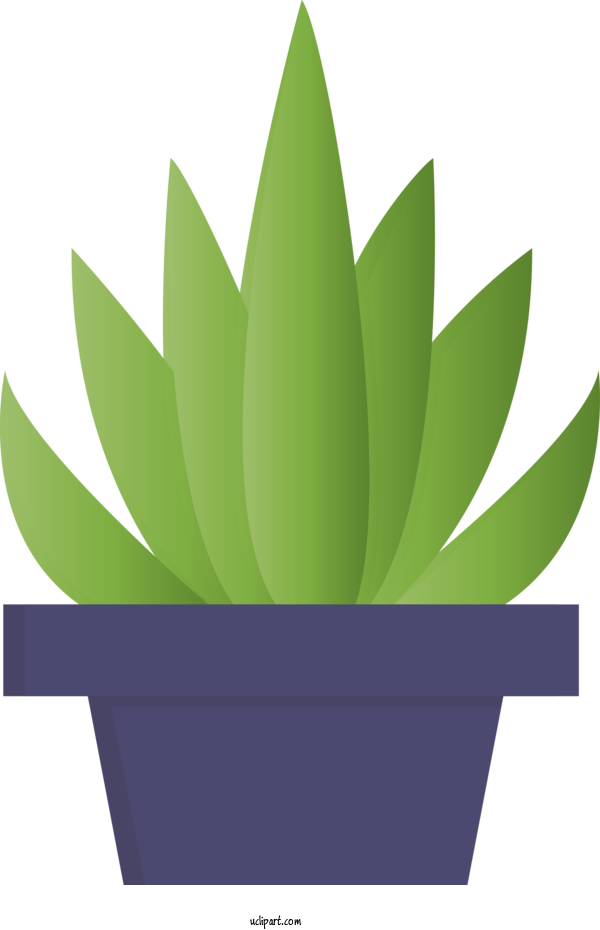 Free Nature Flowerpot Green Leaf For Leaf Clipart Transparent Background
