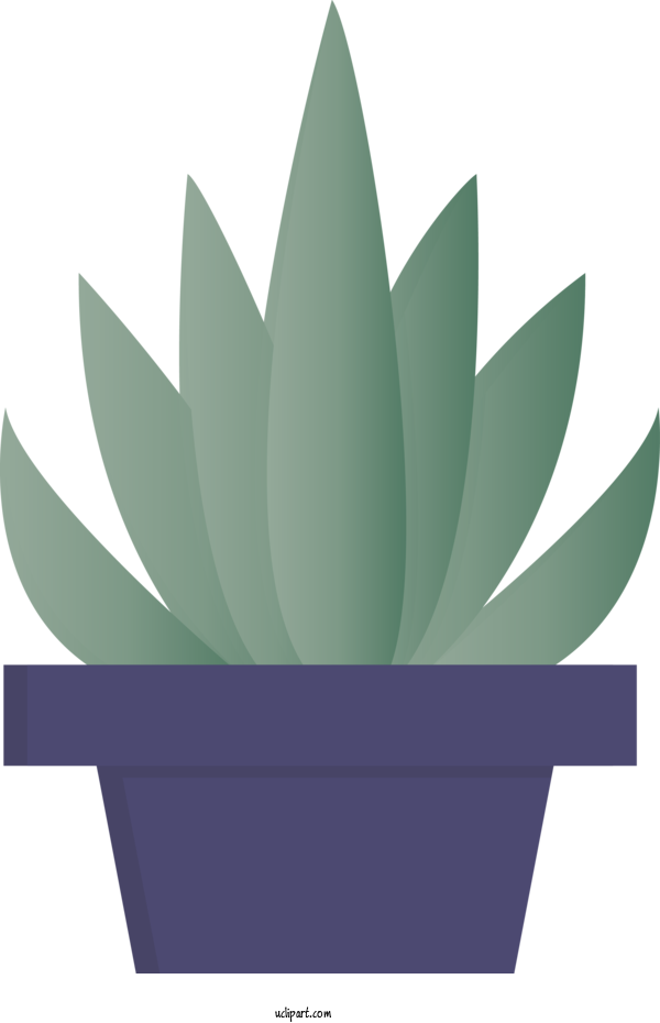 Free Nature Green Flowerpot Agave For Leaf Clipart Transparent Background