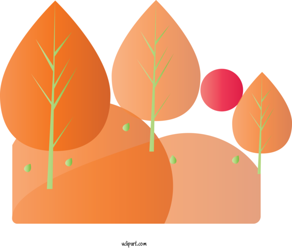 Free Nature Leaf Orange Tree For Tree Clipart Transparent Background