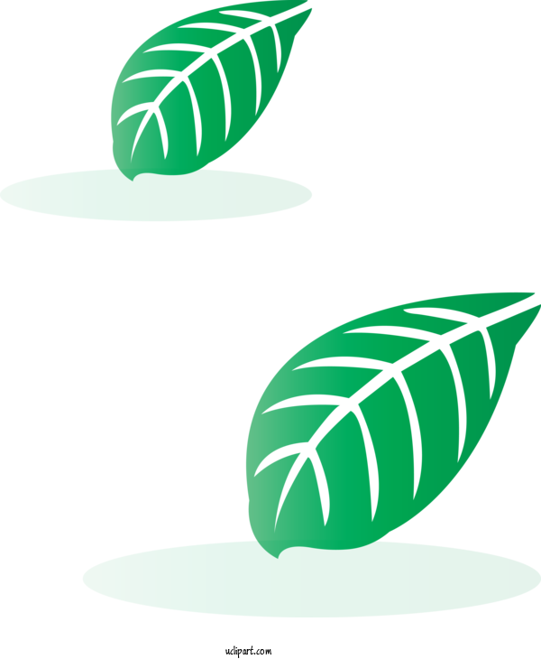 Free Nature Leaf Plant Logo For Leaf Clipart Transparent Background