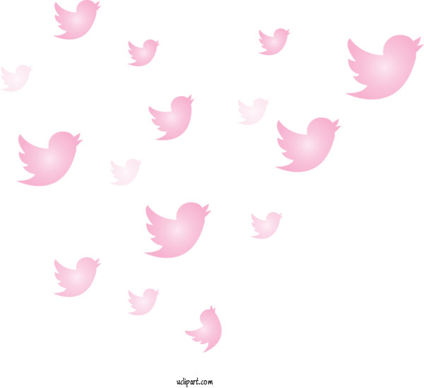 Free Icons Pink Wing Pattern For Social Media Icon Clipart Transparent Background