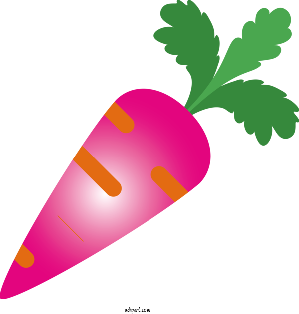 Free Food Leaf Vegetable Carrot For Vegetable Clipart Transparent Background