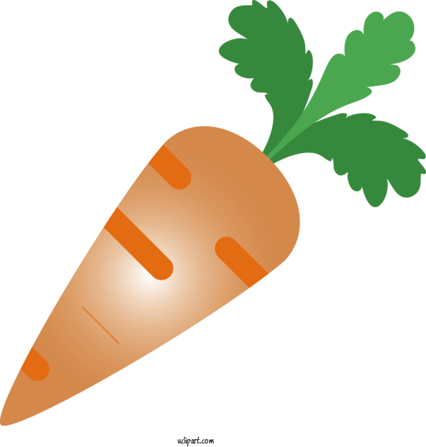 Free Food Carrot Root Vegetable Vegetable For Vegetable Clipart Transparent Background
