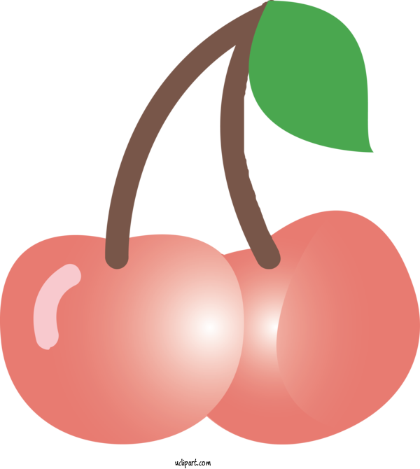 Free Food Cherry Fruit Plant For Fruit Clipart Transparent Background