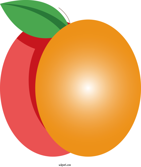 Free Food Fruit Orange Plant For Fruit Clipart Transparent Background
