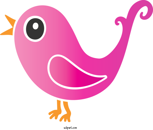 Free Animals Pink Bird Beak For Bird Clipart Transparent Background