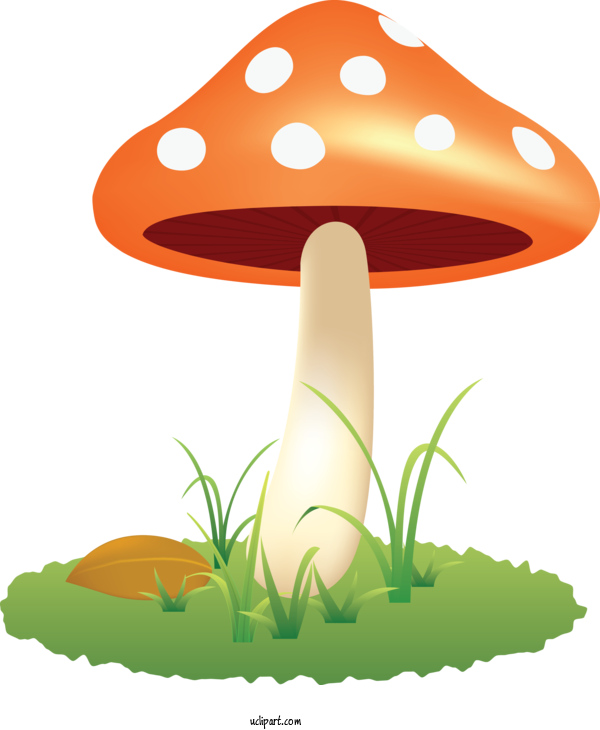 Free Food Mushroom Orange Agaricomycetes For Vegetable Clipart Transparent Background