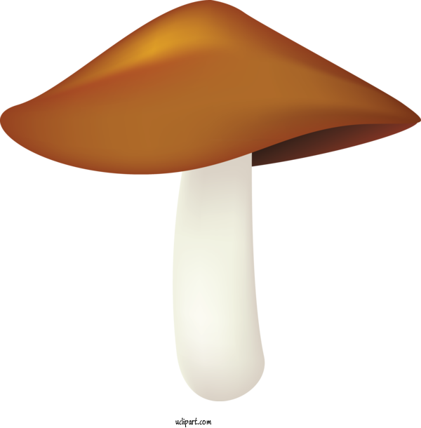 Free Food Lamp Mushroom Orange For Vegetable Clipart Transparent Background
