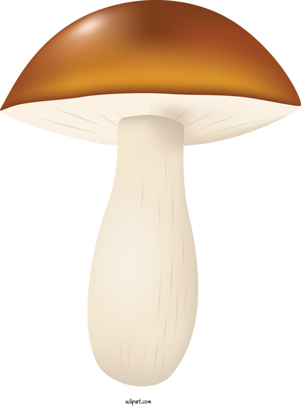 Free Food Lamp Mushroom Light Fixture For Vegetable Clipart Transparent Background