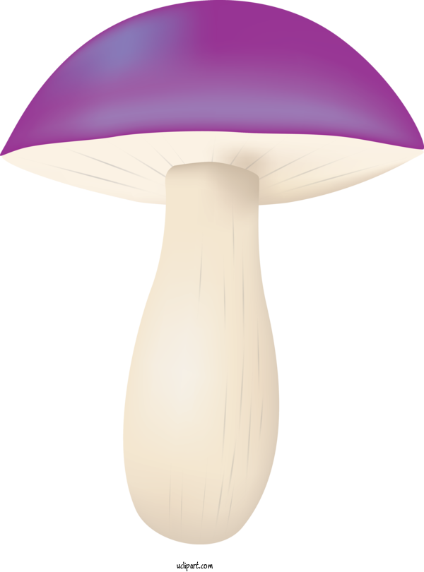 Free Food Lamp Violet Mushroom For Vegetable Clipart Transparent Background