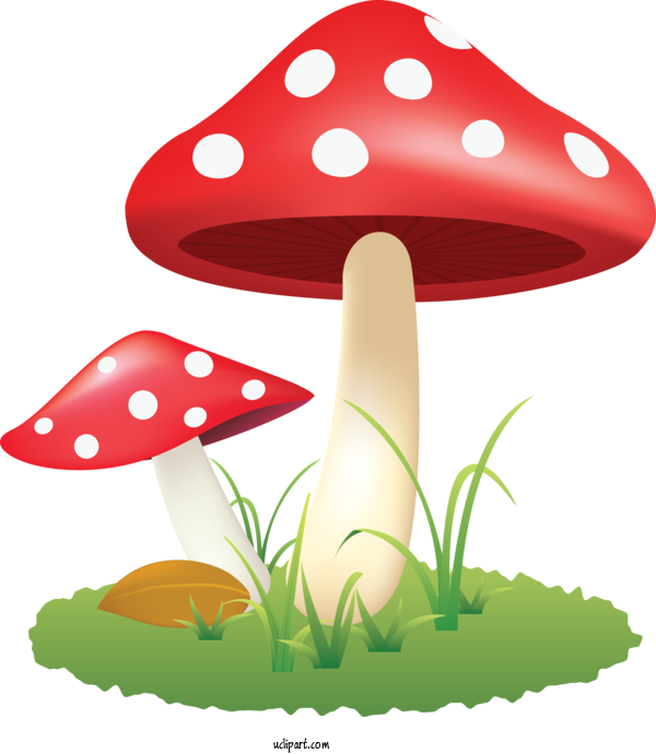 Free Food Mushroom Agaric Design For Vegetable Clipart Transparent Background