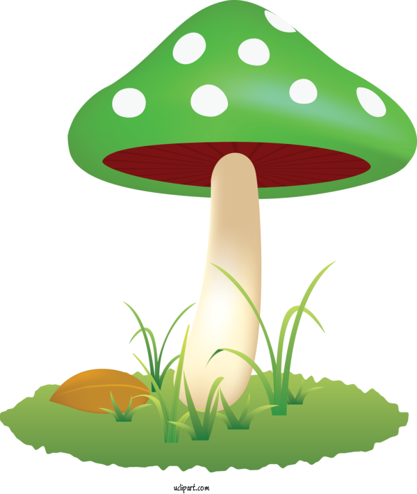 Free Food Mushroom Green Grass For Vegetable Clipart Transparent Background