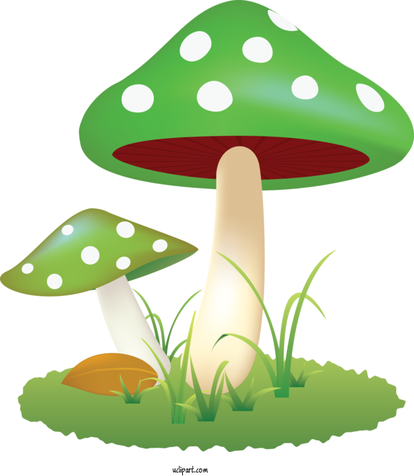 Free Food Mushroom Green Cartoon For Vegetable Clipart Transparent Background