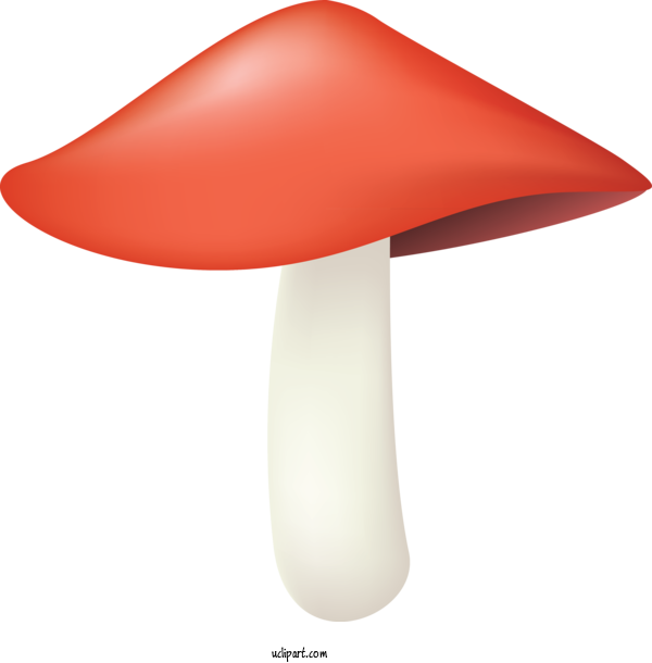 Free Food Lamp Orange Mushroom For Vegetable Clipart Transparent Background