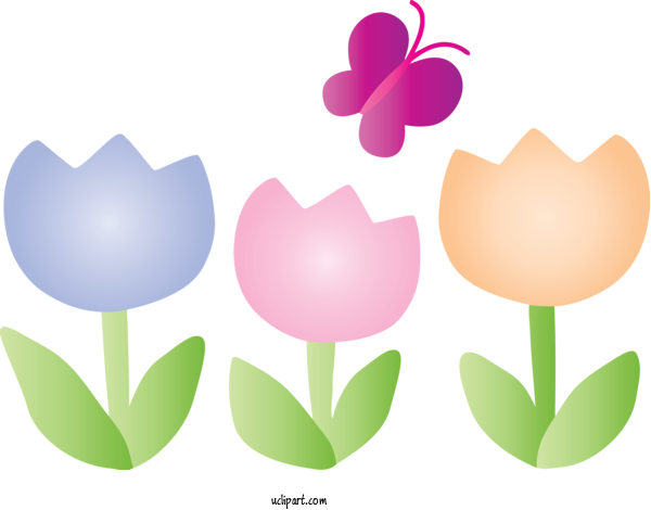 Free Nature Tulip Plant Flower For Spring Clipart Transparent Background