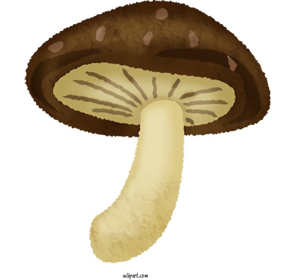 Free Food Agaricus Design For Vegetable Clipart Transparent Background