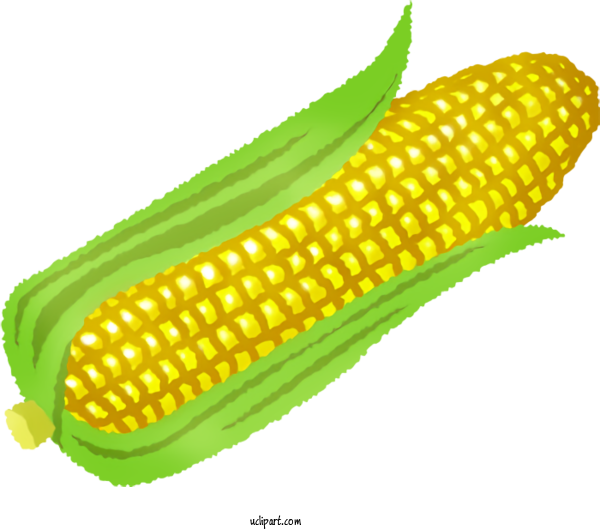 Free Food Corn On The Cob Loongson Semiconductor Manufacturing International Corporation For Vegetable Clipart Transparent Background