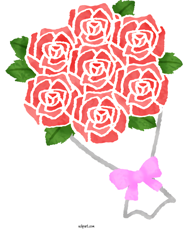 Free Flowers Garden Roses Rose Cut Flowers For Rose Clipart Transparent Background
