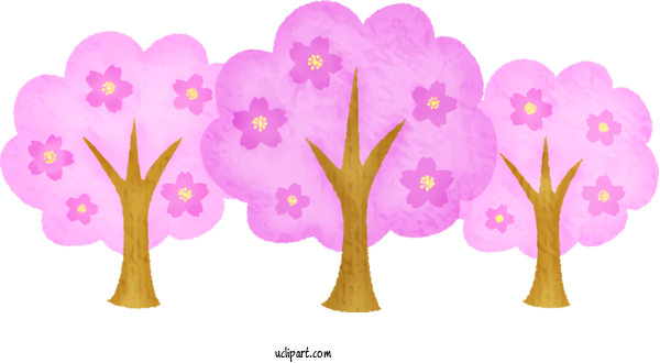 Free Flowers Petal Cartoon Pink M For Sakura Clipart Transparent Background