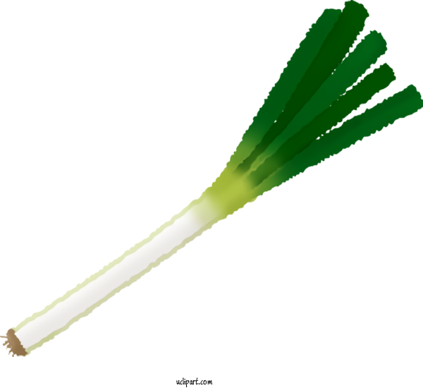 Free Food Welsh Onion Leek Vegetable For Vegetable Clipart Transparent Background