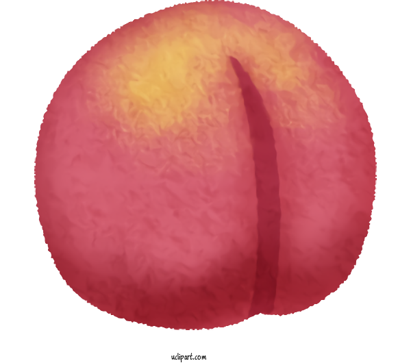 Free Food Close Up Fruit Peach For Fruit	 Clipart Transparent Background