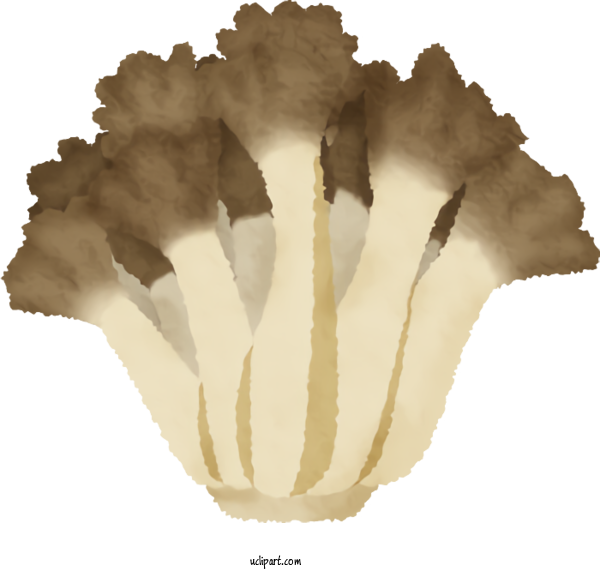 Free Food Hen Of The Wood Mushroom Drawing For Vegetable Clipart Transparent Background