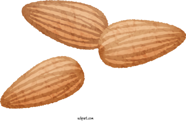 Free Food Peanut Nut Commodity For Vegetable Clipart Transparent Background