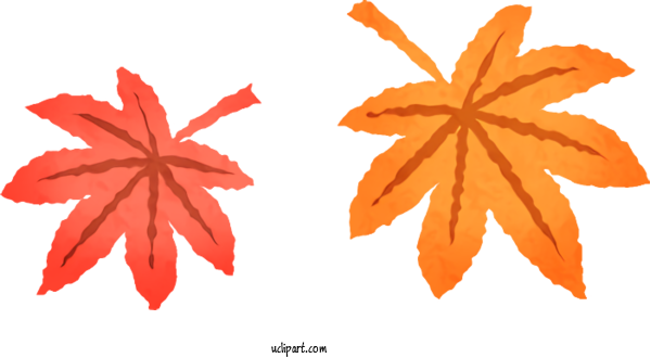 Free Nature Leaf Autumn Leaf Color Drawing For Leaf Clipart Transparent Background