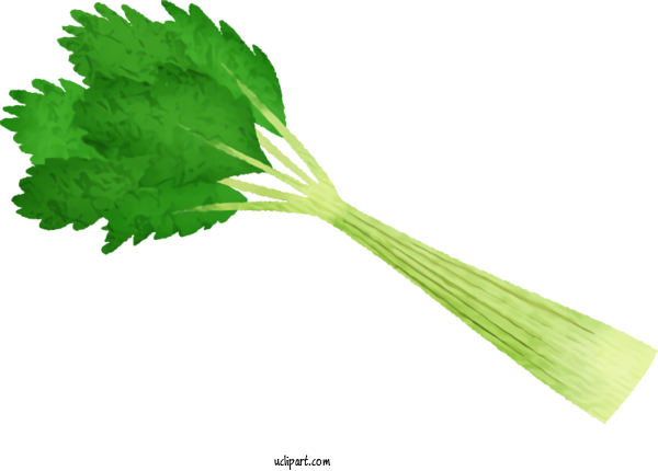 Free Food Celery Drawing Vegetable For Vegetable Clipart Transparent Background