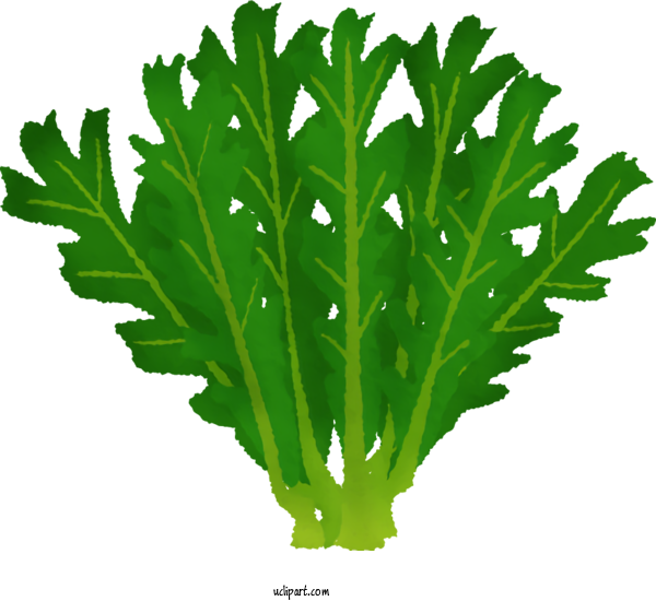 Free Food Spring Greens Plant Stem Leaf For Vegetable Clipart Transparent Background