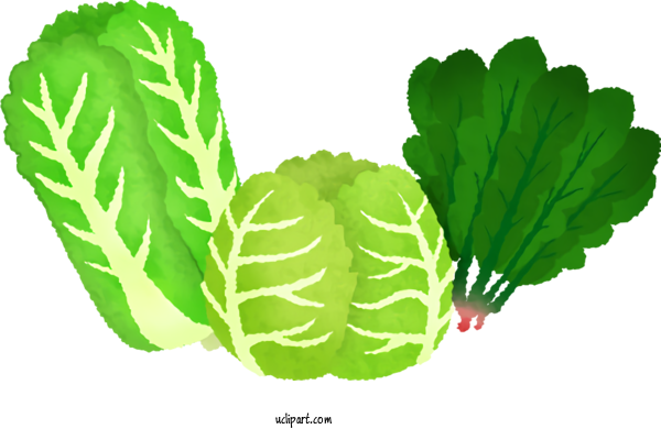 Free Food Spring Greens Leaf Vegetable Vegetable For Vegetable Clipart Transparent Background