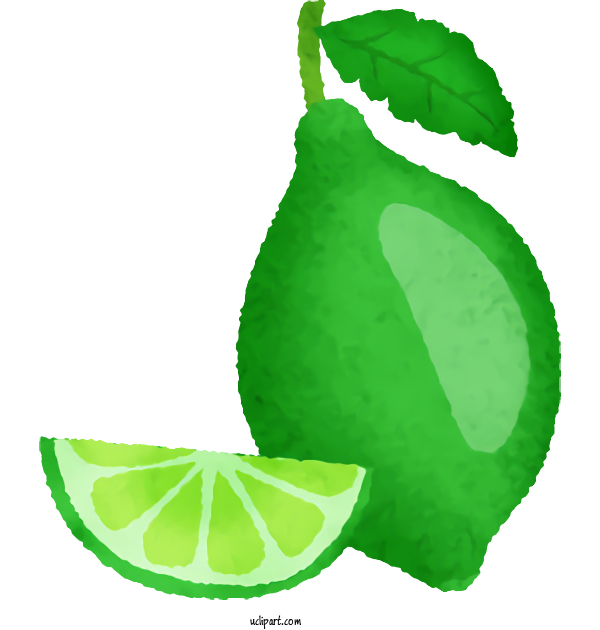 Free Food Lime Key Lime Persian Lime For Vegetable Clipart Transparent Background