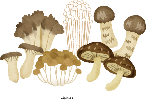Free Food Mushroom Agaricaceae アーミーフィットネスジム春日部 For Vegetable Clipart Transparent Background