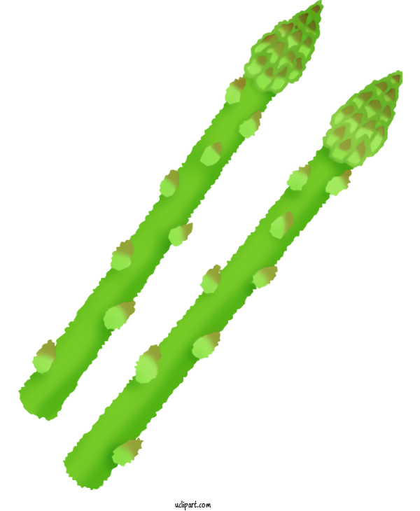 Free Food Drawing Garden Asparagus For Vegetable Clipart Transparent Background