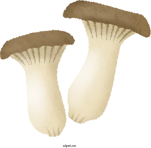 Free Food Pleurotus Eryngii Mushroom Drawing For Vegetable Clipart Transparent Background
