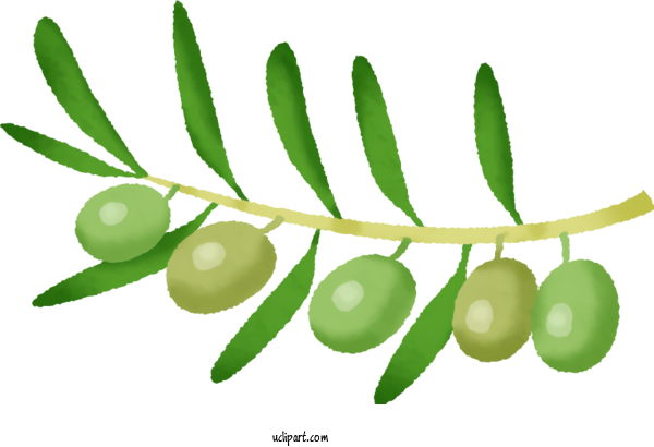 Free Food Mediterranean Cuisine Olive Fruit For Vegetable Clipart Transparent Background