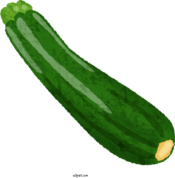Free Food Cucumber Thailand Luffa For Vegetable Clipart Transparent Background