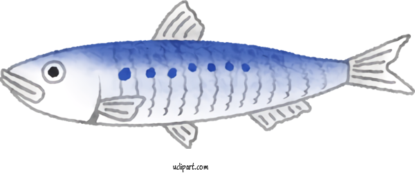 Free Food Sardine Mackerel European Pilchard For Vegetable Clipart Transparent Background