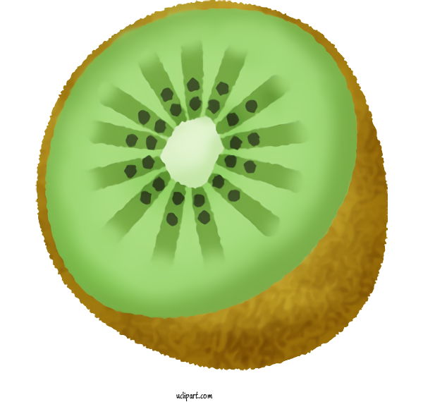 Free Food Kiwifruit Circle Industrial Design For Fruit	 Clipart Transparent Background