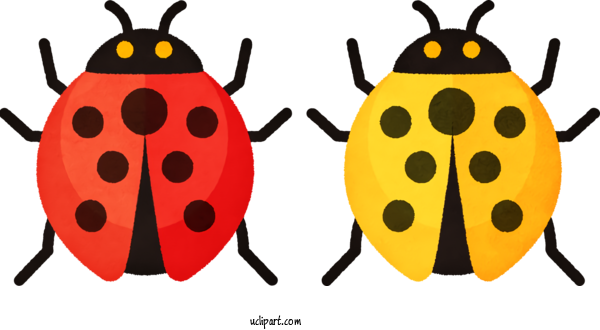 Free Animals Ladybird Beetle Beetles Yellow For Baby Animal Clipart Transparent Background