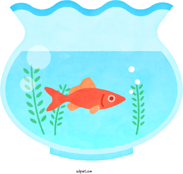 Free Animals Fish Biology Science For Baby Animal Clipart Transparent Background