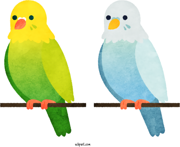 Free Animals Lovebird Parakeet Beak For Baby Animal Clipart Transparent Background