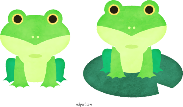 Free Animals Tree Frog True Frog Cartoon For Baby Animal Clipart Transparent Background