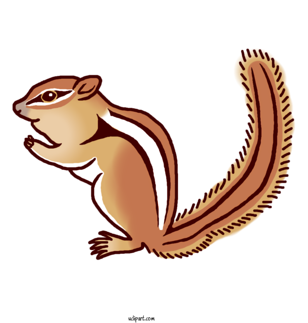 Free Animals Chipmunk Reptiles Squirrels For Squirrel Clipart Transparent Background