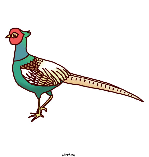 Free Animals Birds Green Pheasant Pheasant For Bird Clipart Transparent Background